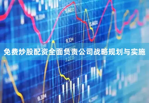 免费炒股配资全面负责公司战略规划与实施