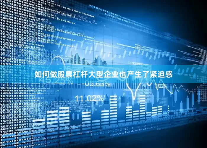 如何做股票杠杆大型企业也产生了紧迫感